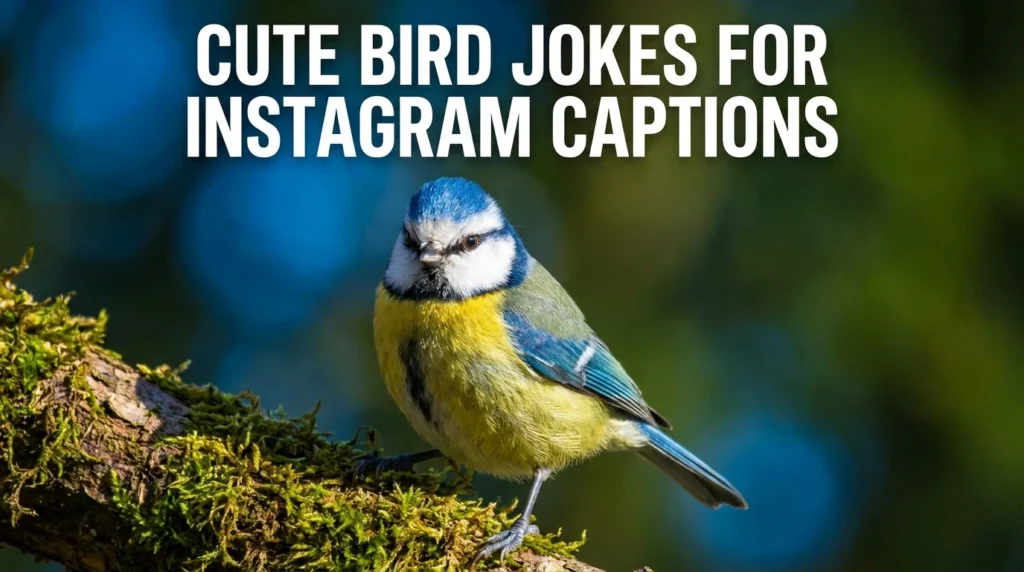 Cute Bird Jokes For Instagram Captions
