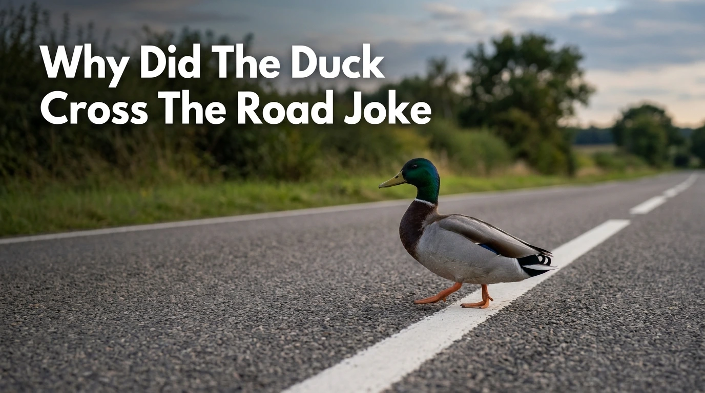 Why Did The Duck Cross The Road Joke