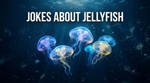 Jokes About Jellyfish