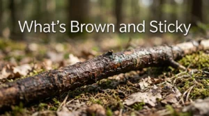 What's Brown and Sticky